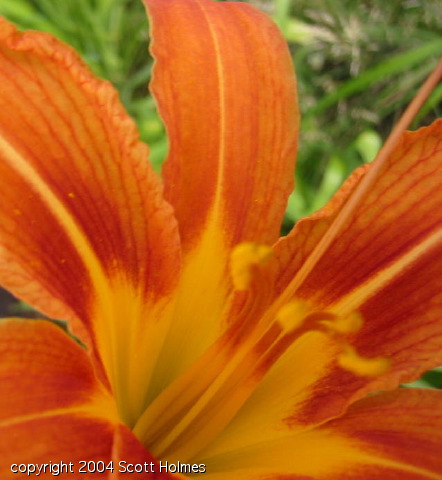 gardjun 010.jpg