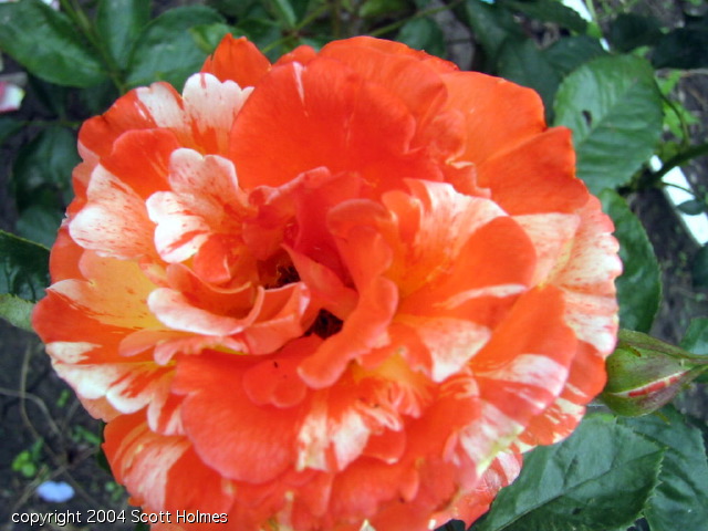 gardjun 040.jpg