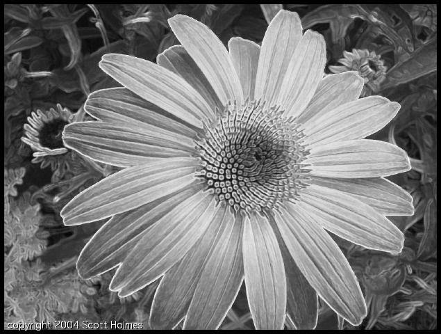 gardjun 044 copy (2).jpg