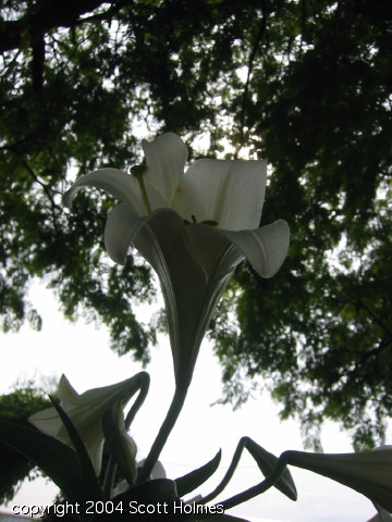 gardjun 047.jpg
