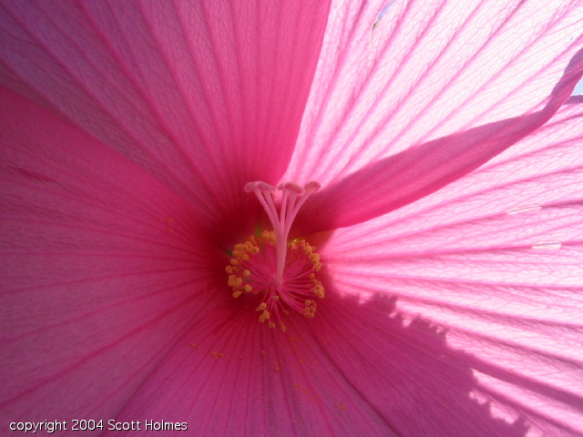 pretty4 024.jpg